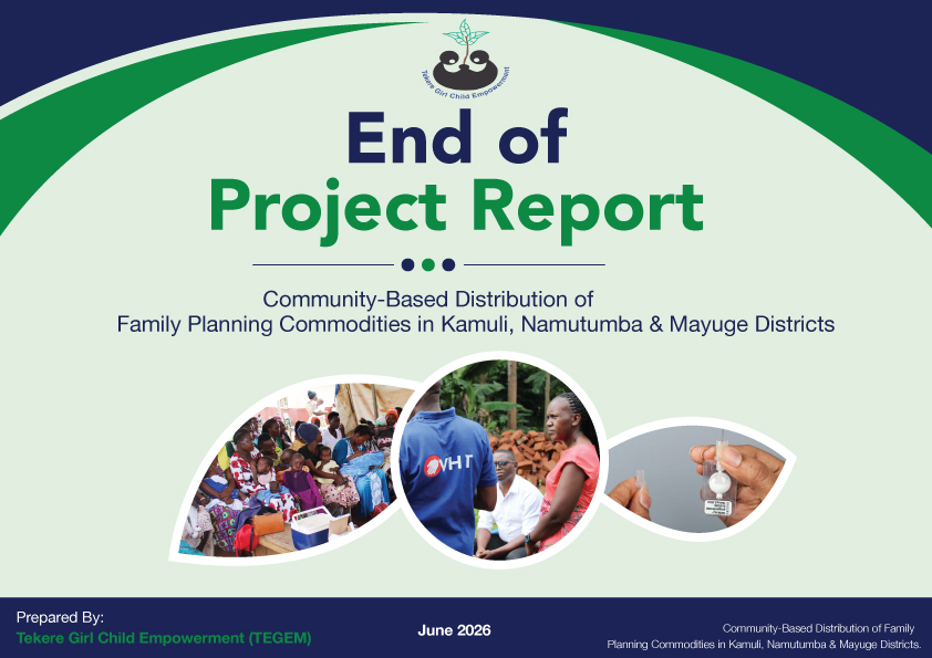 TEGEM Final Report